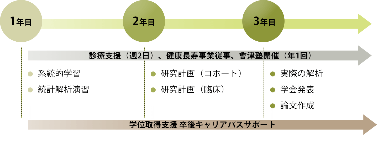 フェロー　モデルケース（2年制の場合）